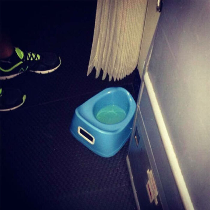 Yes, This Is the Galley Potty Now