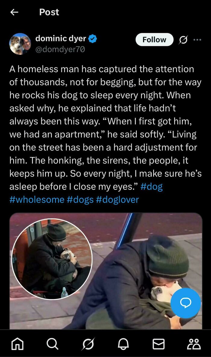 Wholesome Doggo Vibes, But Wait…