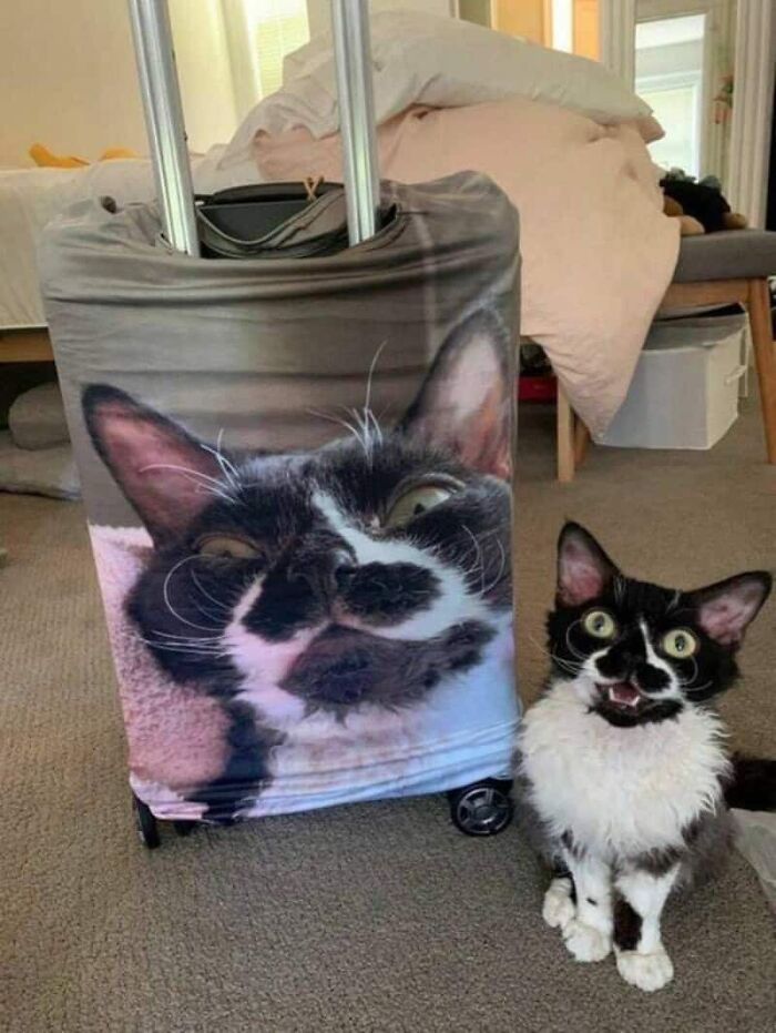 Wait, They Actually Took These Photos?! The Internet’s Weirdest Snapshots