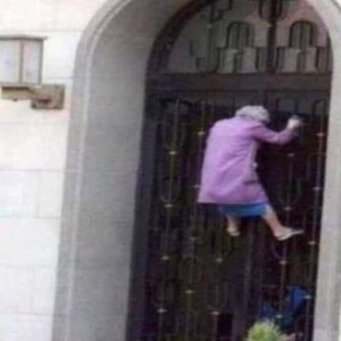 Wait, They Actually Took These Photos?! The Internet’s Weirdest Snapshots