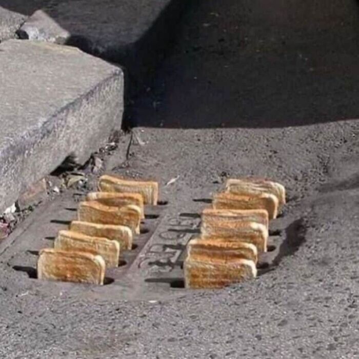 Wait, They Actually Took These Photos?! The Internet’s Weirdest Snapshots