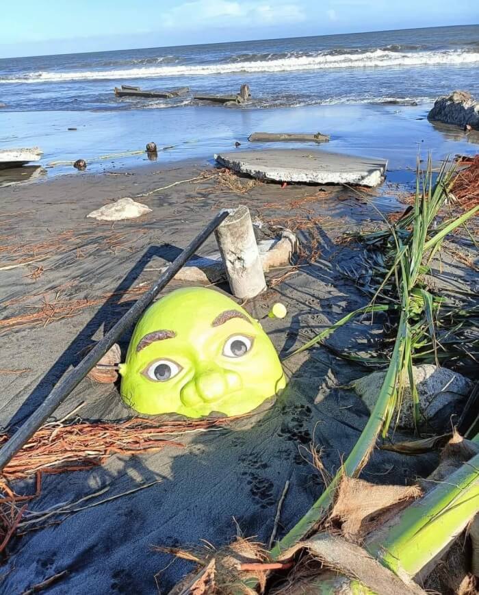 Wait, They Actually Took These Photos?! The Internet’s Weirdest Snapshots