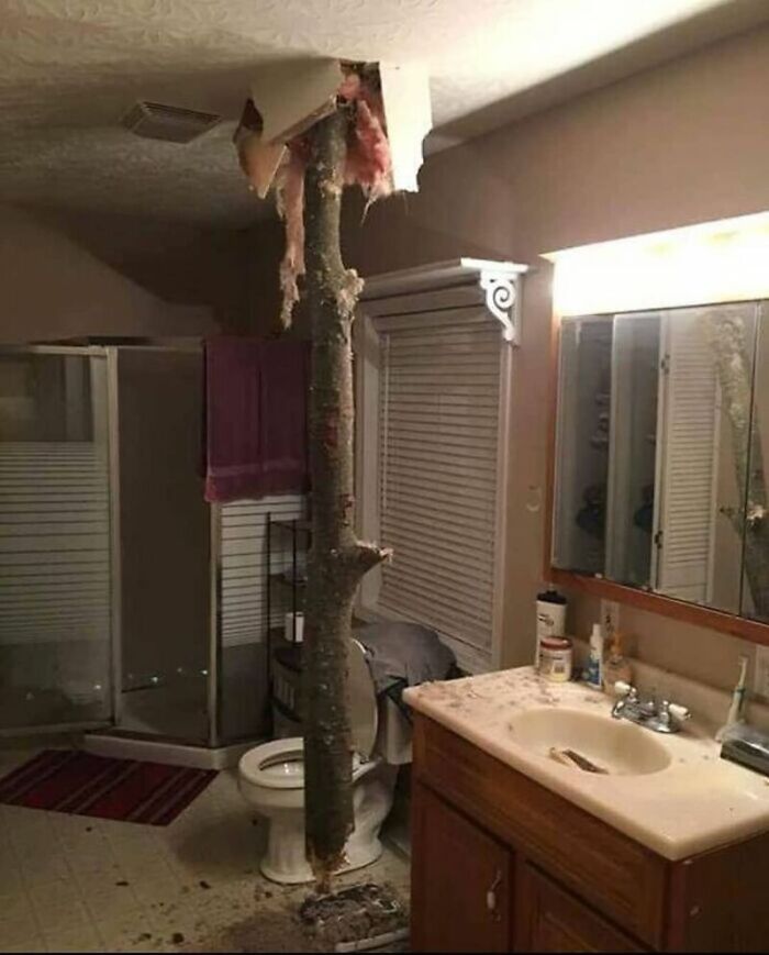 Wait, They Actually Took These Photos?! The Internet’s Weirdest Snapshots