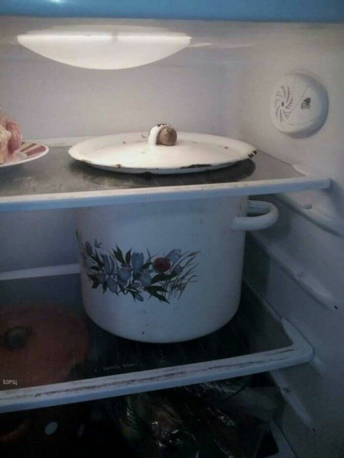 Wait, They Actually Took These Photos?! The Internet’s Weirdest Snapshots