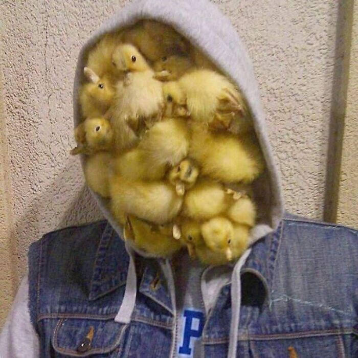 Wait, They Actually Took These Photos?! The Internet’s Weirdest Snapshots