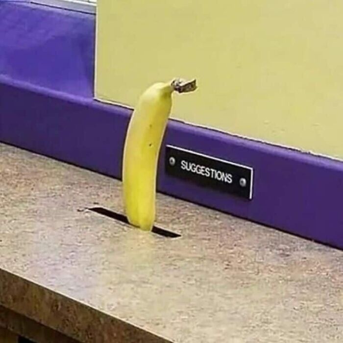 Wait, They Actually Took These Photos?! The Internet’s Weirdest Snapshots