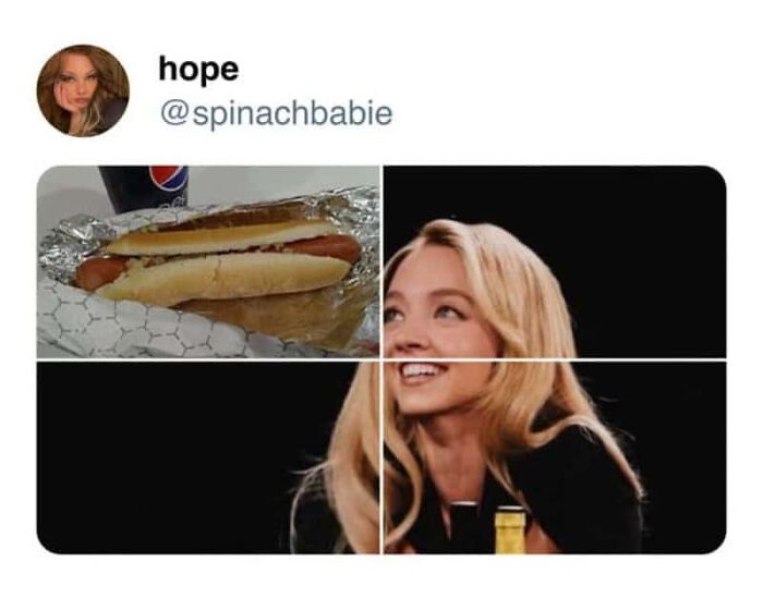 Wait, They Actually Took These Photos?! The Internet’s Weirdest Snapshots
