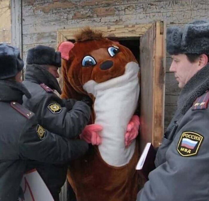 Wait, They Actually Took These Photos?! The Internet’s Weirdest Snapshots