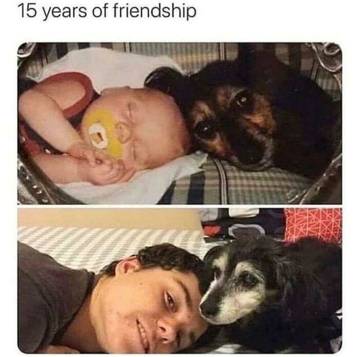 Man’s Best Friend, Now and Then