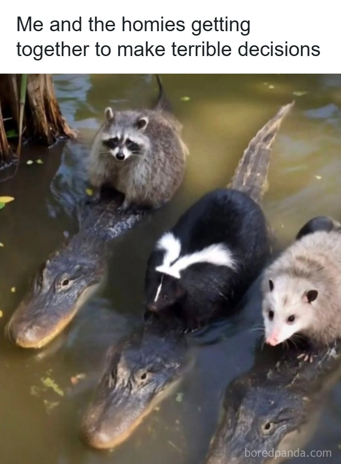 These Redneck Memes Are So Funny We Can’t Even