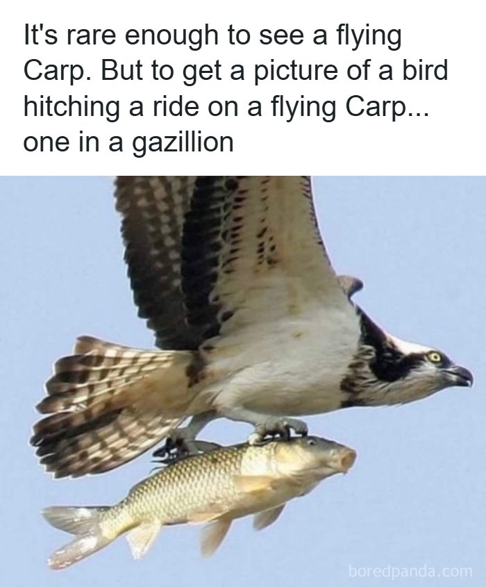 These Redneck Memes Are So Funny We Can’t Even