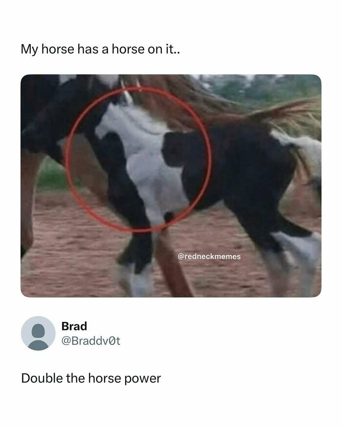 These Redneck Memes Are So Funny We Can’t Even