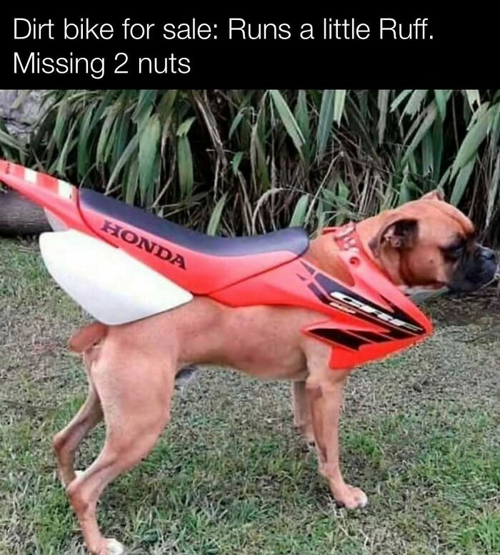 These Redneck Memes Are So Funny We Can’t Even
