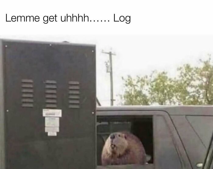 These Redneck Memes Are So Funny We Can’t Even