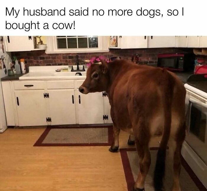 These Redneck Memes Are So Funny We Can’t Even
