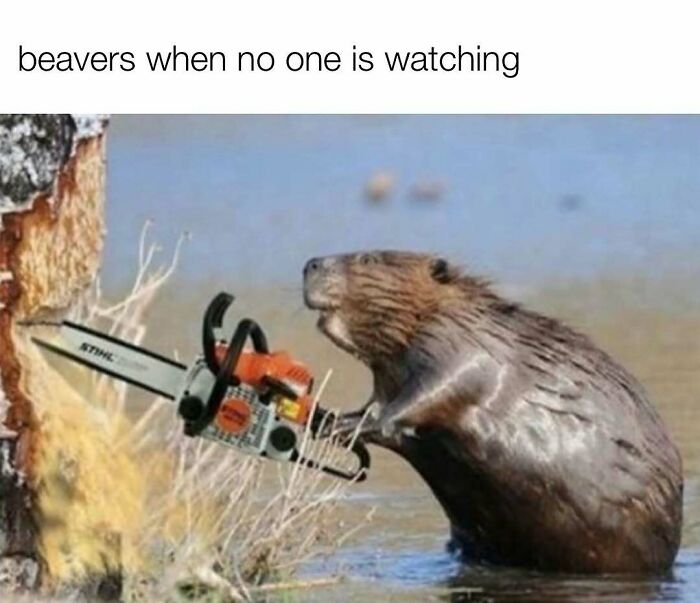 These Redneck Memes Are So Funny We Can’t Even