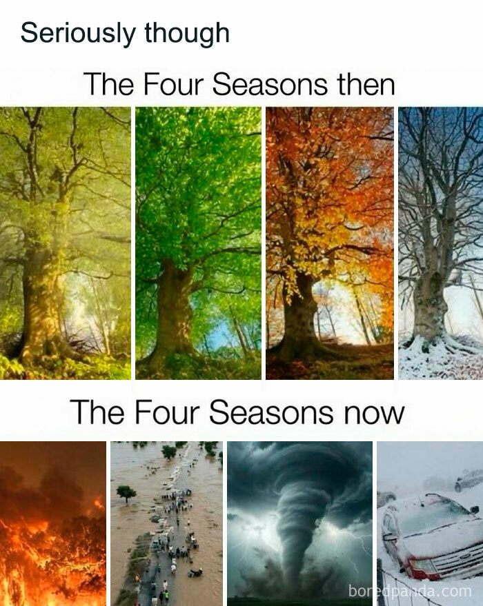 Let's Dive Into 74 Memes That Will Totally Distract You (And Make You Giggle)