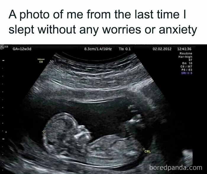 Let's Dive Into 74 Memes That Will Totally Distract You (And Make You Giggle)