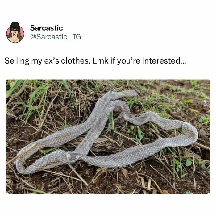 Let's Dive Into 74 Memes That Will Totally Distract You (And Make You Giggle)