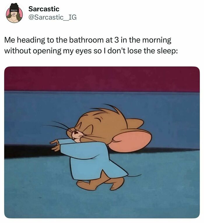 Let's Dive Into 74 Memes That Will Totally Distract You (And Make You Giggle)