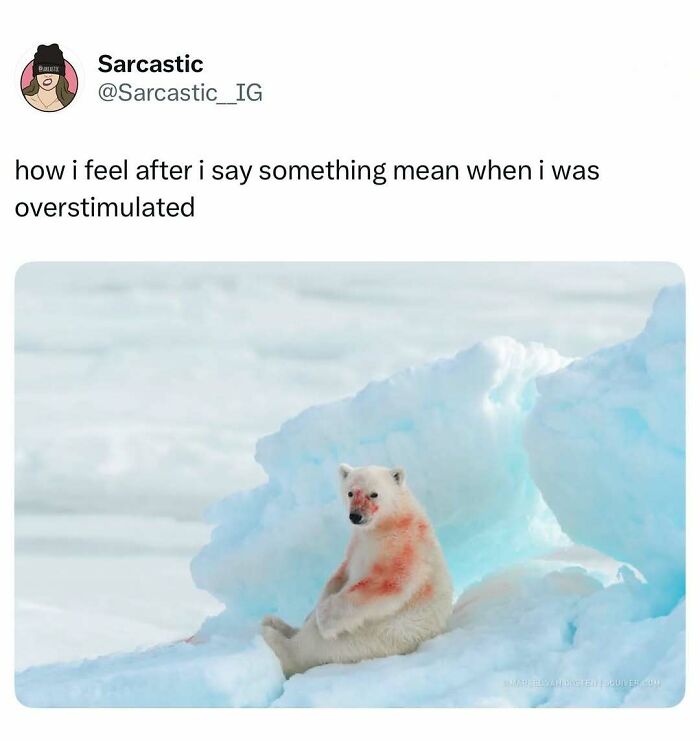 Let's Dive Into 74 Memes That Will Totally Distract You (And Make You Giggle)