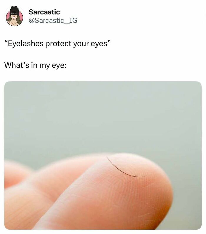 Let's Dive Into 74 Memes That Will Totally Distract You (And Make You Giggle)