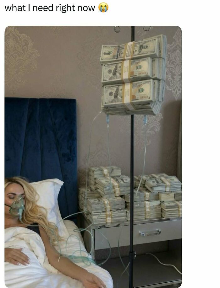 Let's Dive Into 74 Memes That Will Totally Distract You (And Make You Giggle)