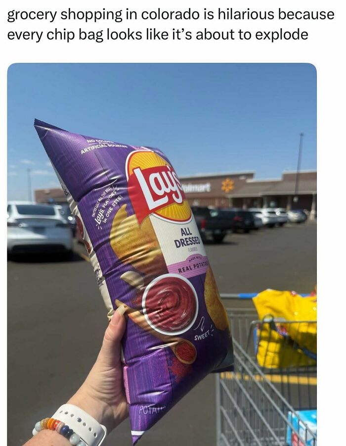 Let's Dive Into 74 Memes That Will Totally Distract You (And Make You Giggle)