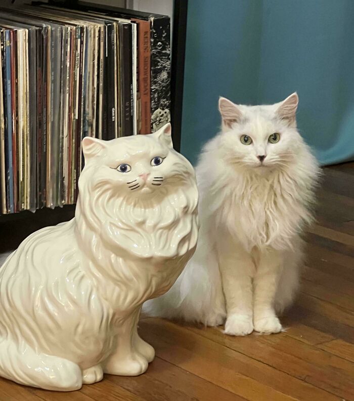 Finally Found One of These Statues! Cat’s Not Amused Though...