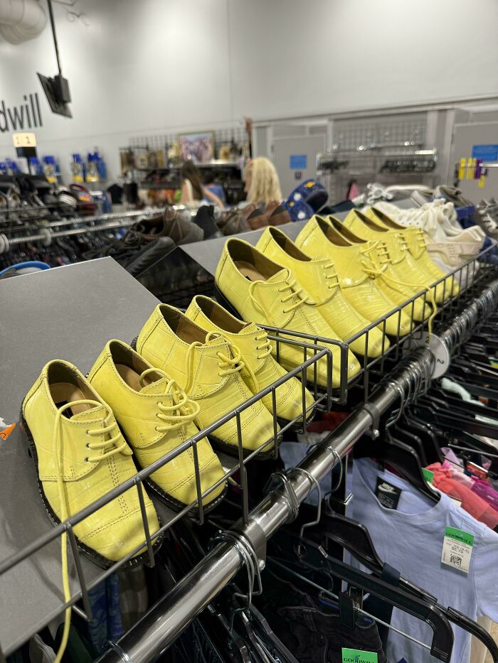 Check Out These Wild Thrift Store Finds That People Are Loving After Hours of Treasure Hunting