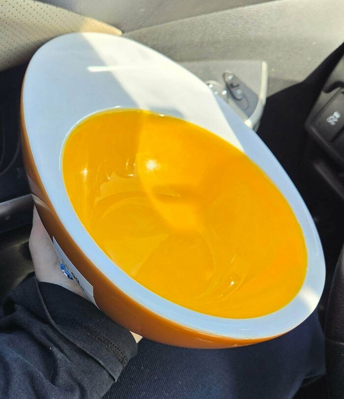 Check Out These Wild Thrift Store Finds That People Are Loving After Hours of Treasure Hunting