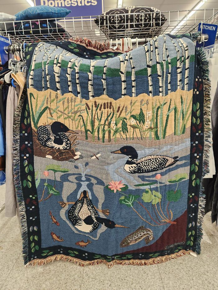 Check Out These Wild Thrift Store Finds That People Are Loving After Hours of Treasure Hunting