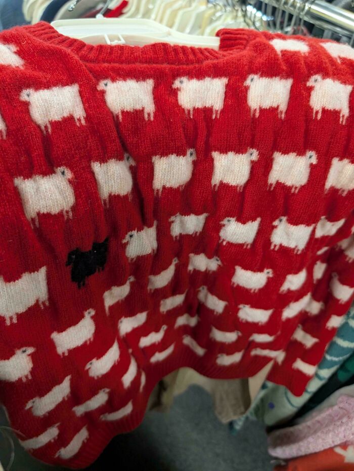 Check Out These Wild Thrift Store Finds That People Are Loving After Hours of Treasure Hunting
