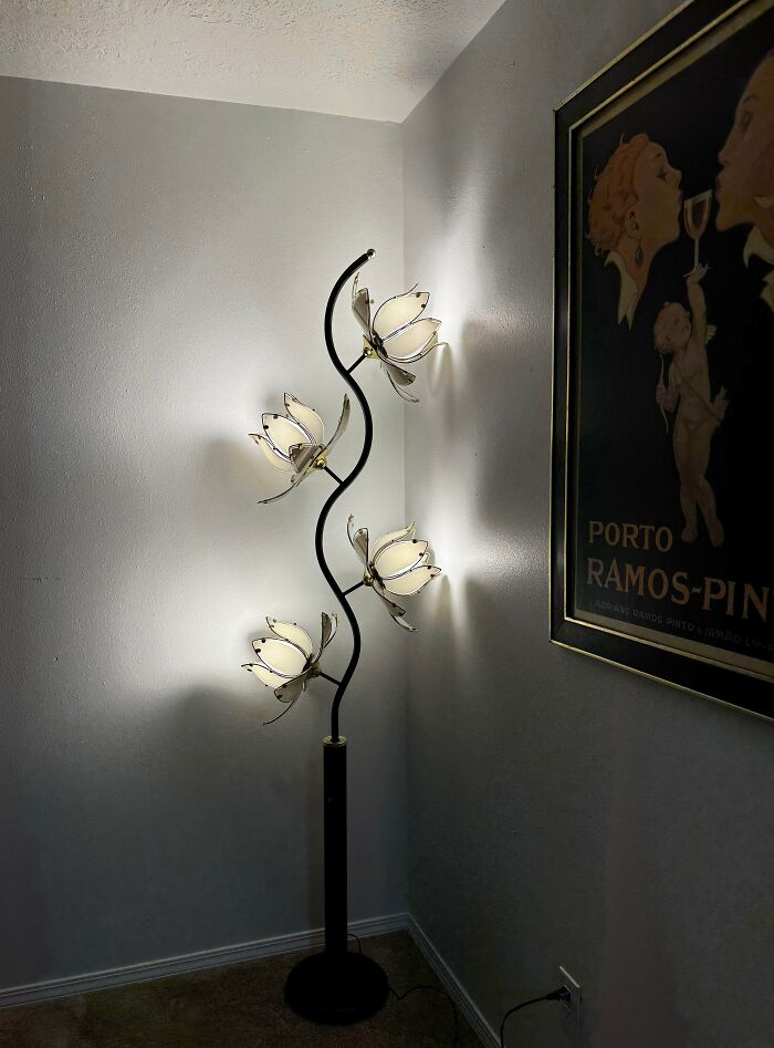 Check Out These Wild Thrift Store Finds That People Are Loving After Hours of Treasure Hunting