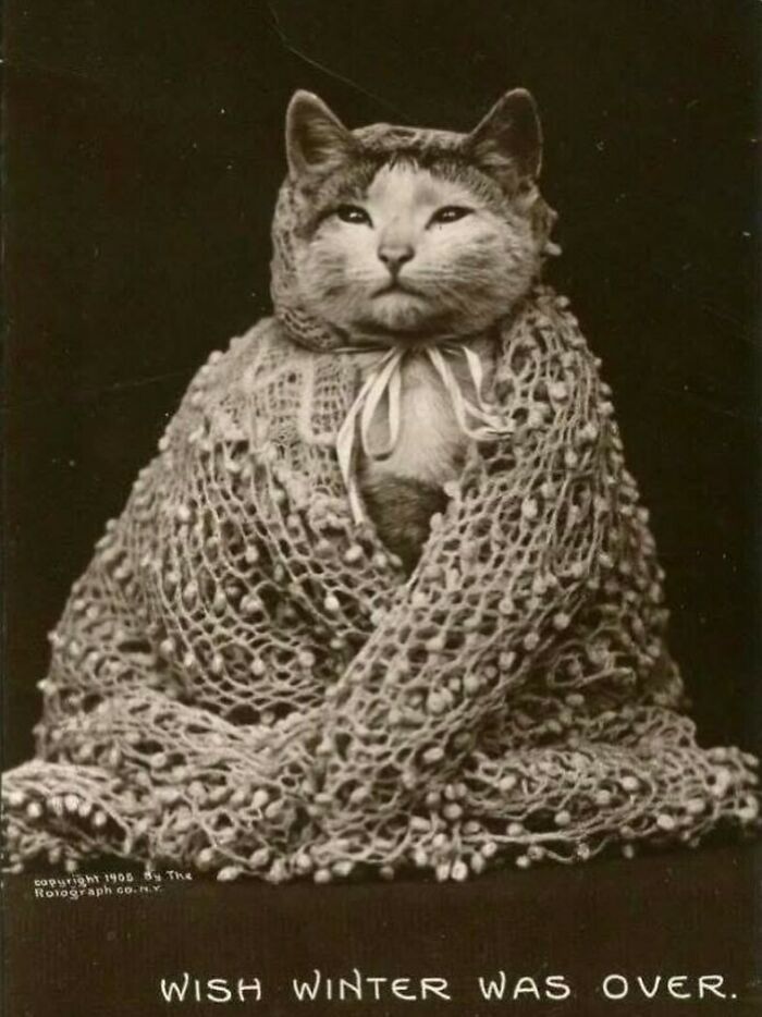 88 Vintage Pics From The Victorian Era That Are Actually Kinda Wild