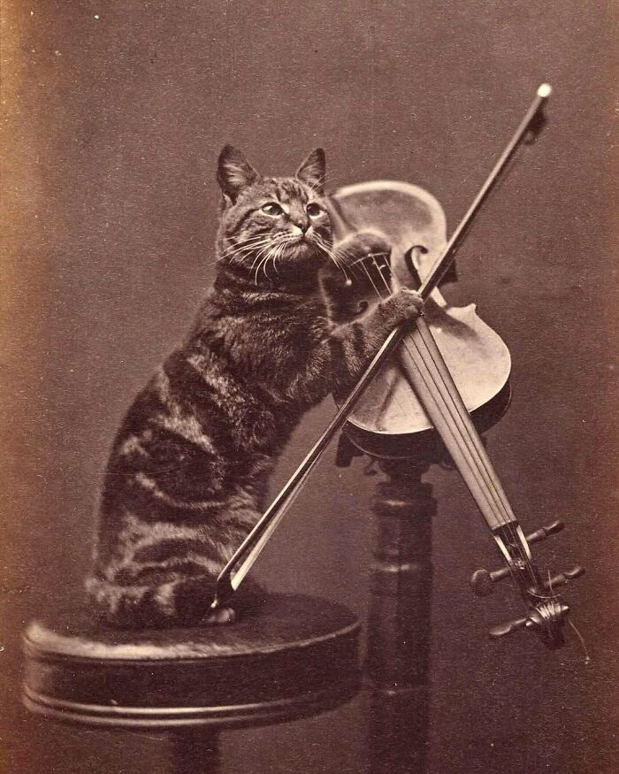 88 Vintage Pics From The Victorian Era That Are Actually Kinda Wild