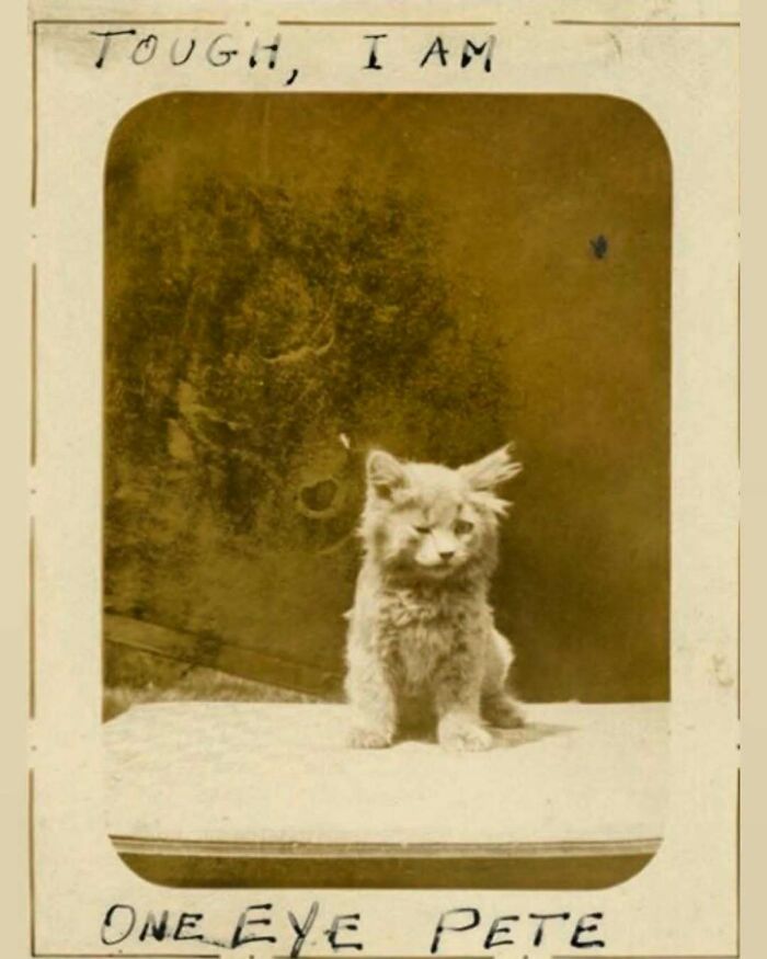 88 Vintage Pics From The Victorian Era That Are Actually Kinda Wild