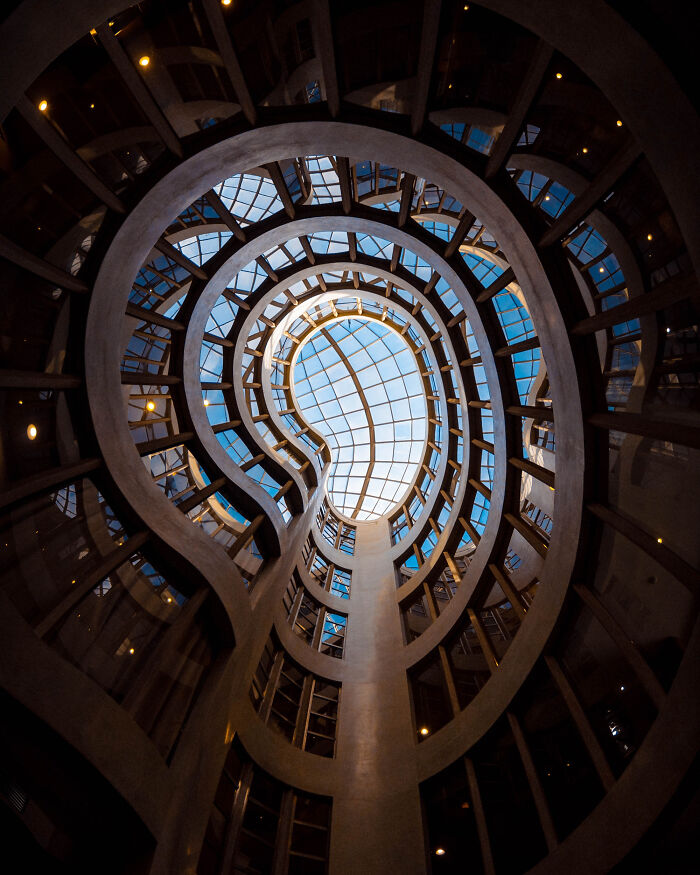 You Won't Believe How This Photographer Finds Perfect Symmetry Everywhere!