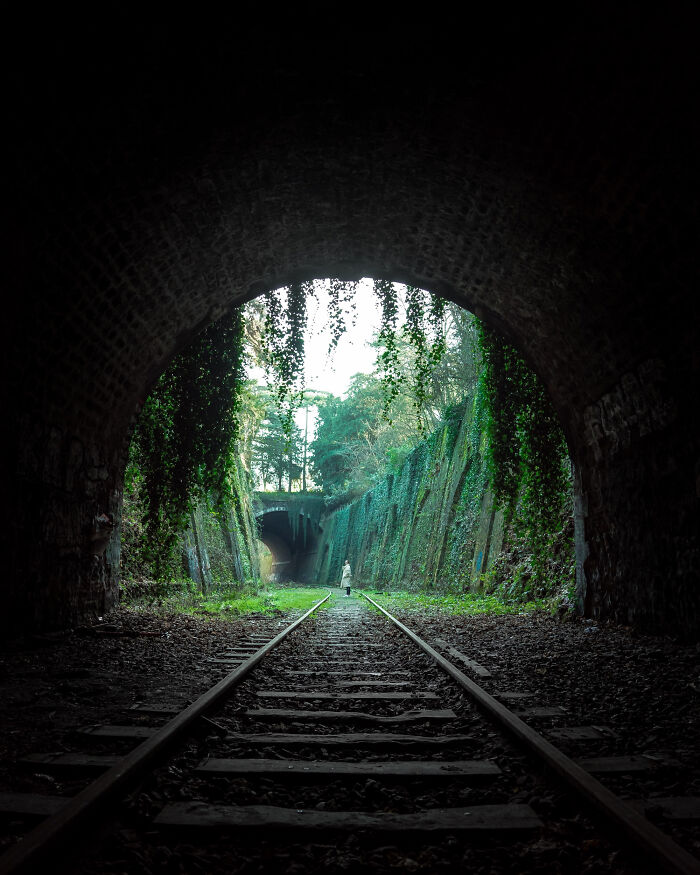 You Won't Believe How This Photographer Finds Perfect Symmetry Everywhere!