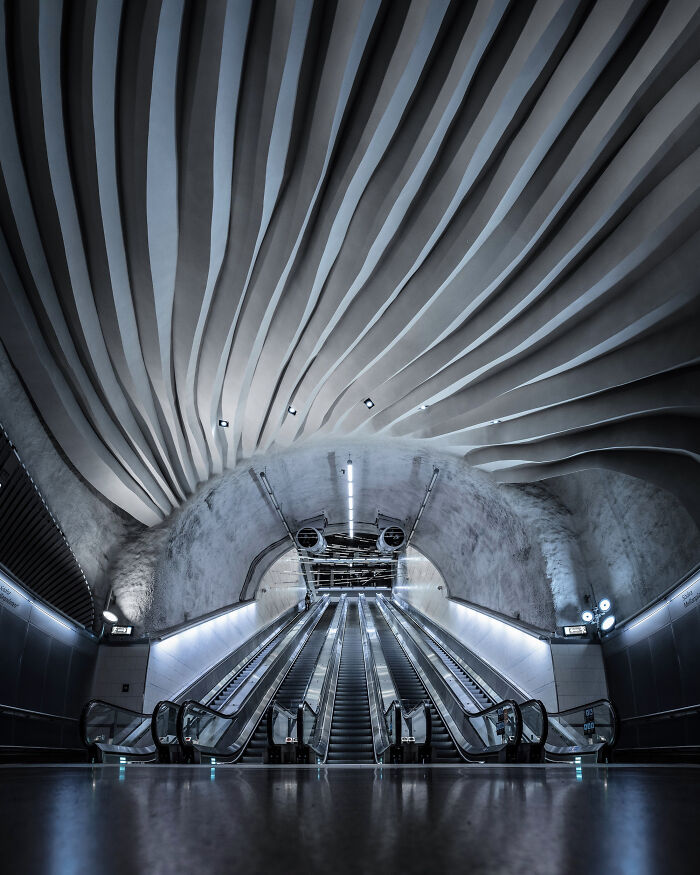 You Won't Believe How This Photographer Finds Perfect Symmetry Everywhere!