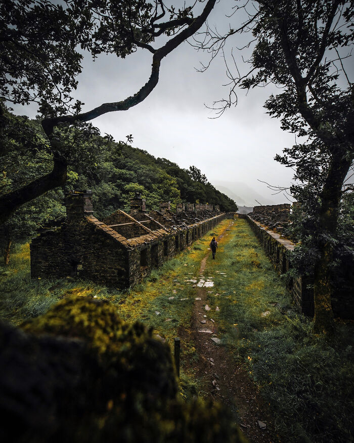 You Won't Believe How This Photographer Finds Perfect Symmetry Everywhere!