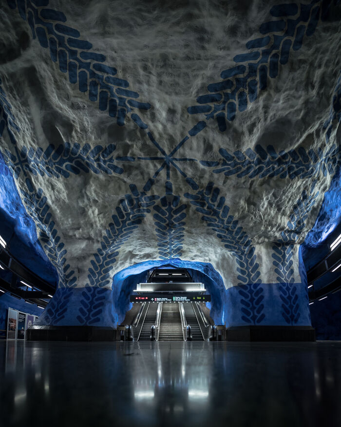 You Won't Believe How This Photographer Finds Perfect Symmetry Everywhere!