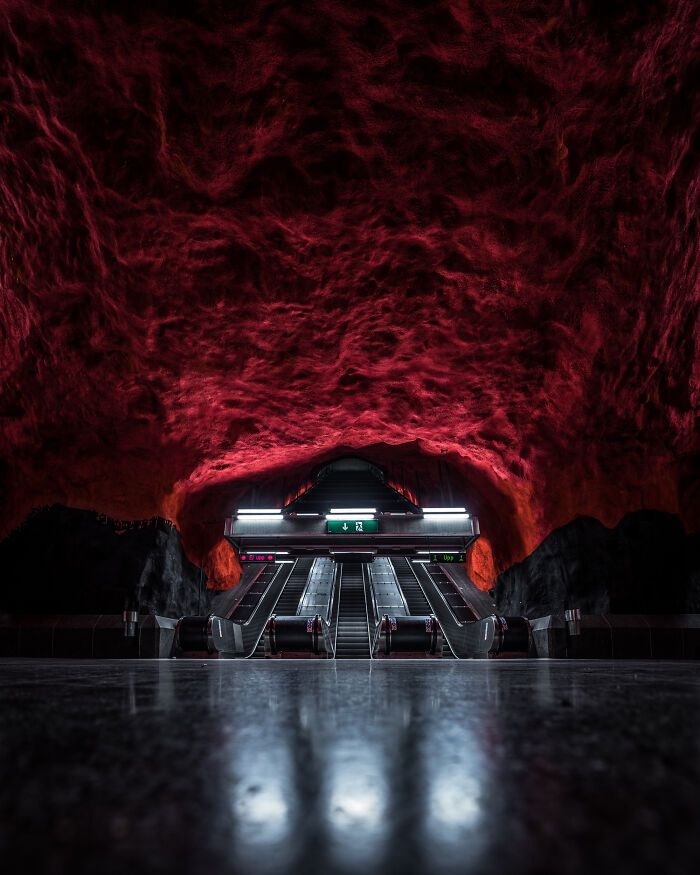 You Won't Believe How This Photographer Finds Perfect Symmetry Everywhere!