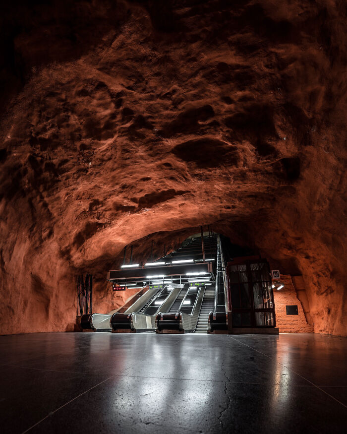 You Won't Believe How This Photographer Finds Perfect Symmetry Everywhere!