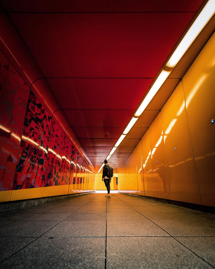 You Won't Believe How This Photographer Finds Perfect Symmetry Everywhere!