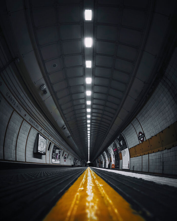 You Won't Believe How This Photographer Finds Perfect Symmetry Everywhere!