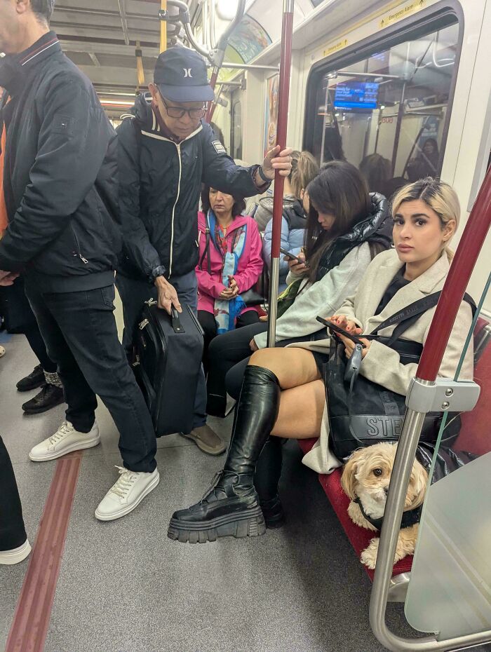 Dog on the Subway Seat? Seriously, Who Does That?