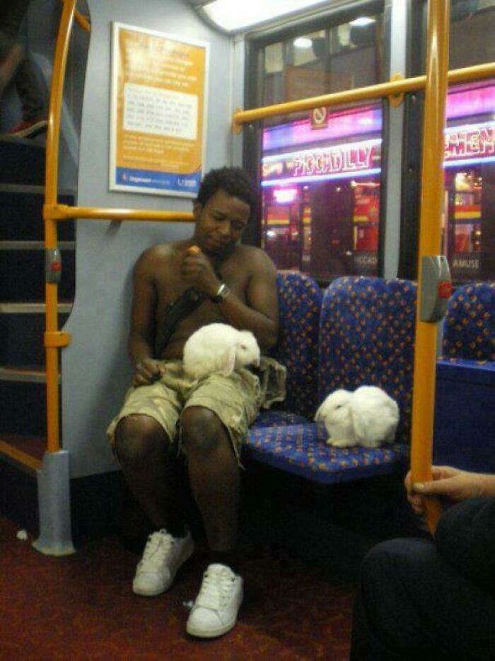 Saw This Last Night on the Bus