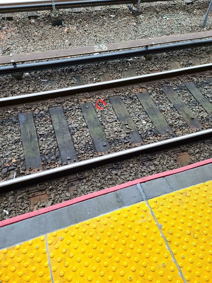 Dropped My Earbud on the Tracks 10 Minutes Into a 3-Hour Trip