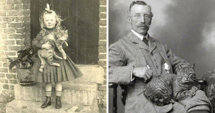 30 Vintage Cat Pics That Prove Cats Have Always Been Total Showstoppers